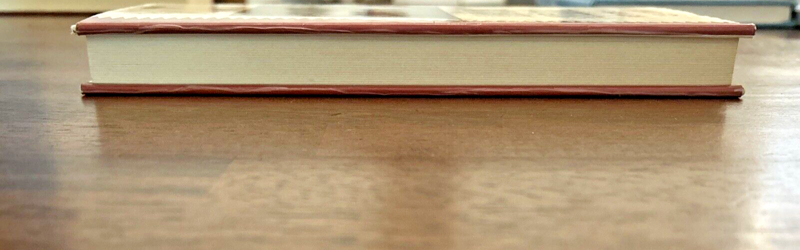 Tupelo Nights, by John Ed Bradley, HC/DJ, 1988 STATED FIRST EDITION!