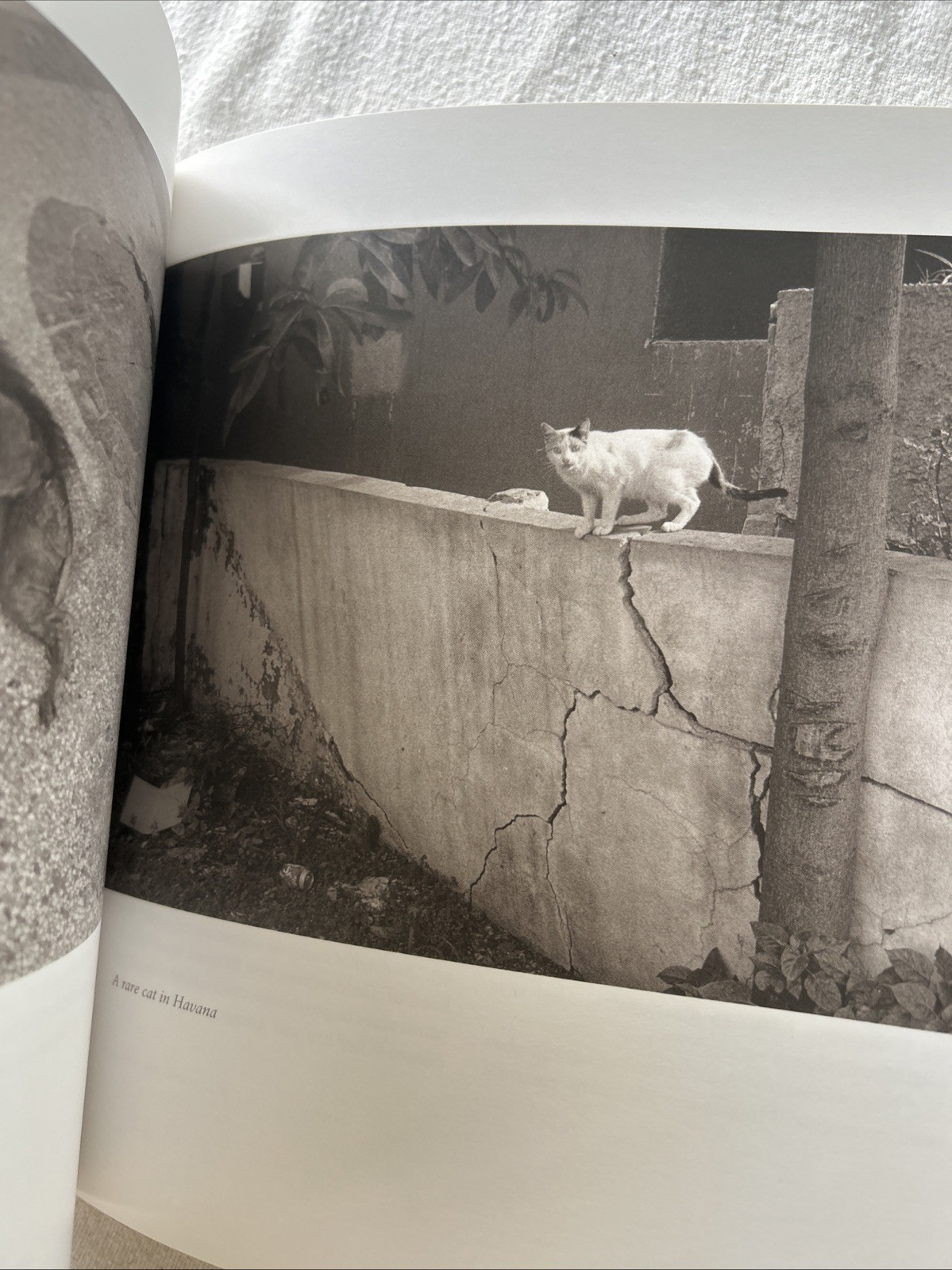 CUBA–GOING BACK By Tony Mendoza S1