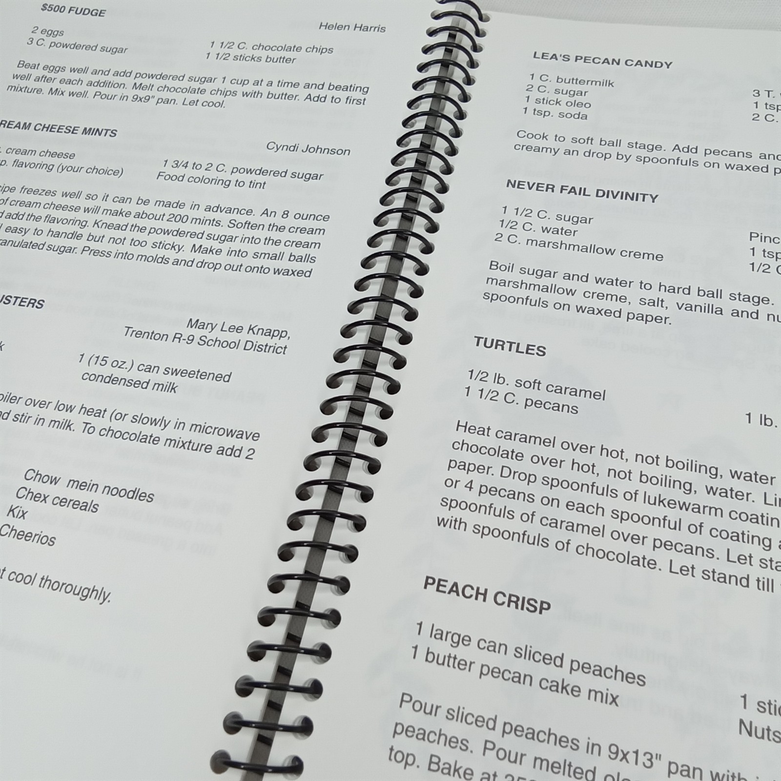 Vintage 1990s Cookbook Neighborhood Delights MSFSA Community 100 Pages