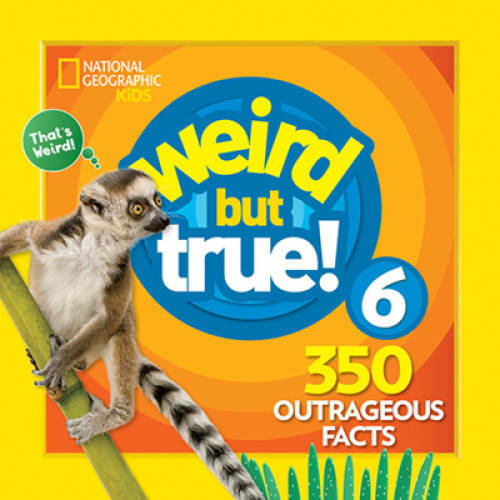 Weird But True 6: Expanded Edition – Paperback – GOOD