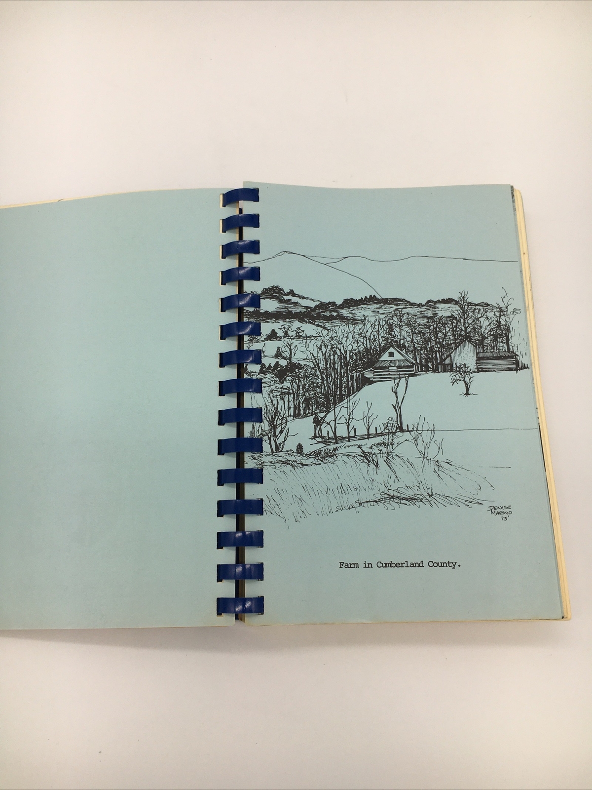 Carlisle Heritage ‘76 Cookbook A Bicentennial Collection 228 Pages Rare PA