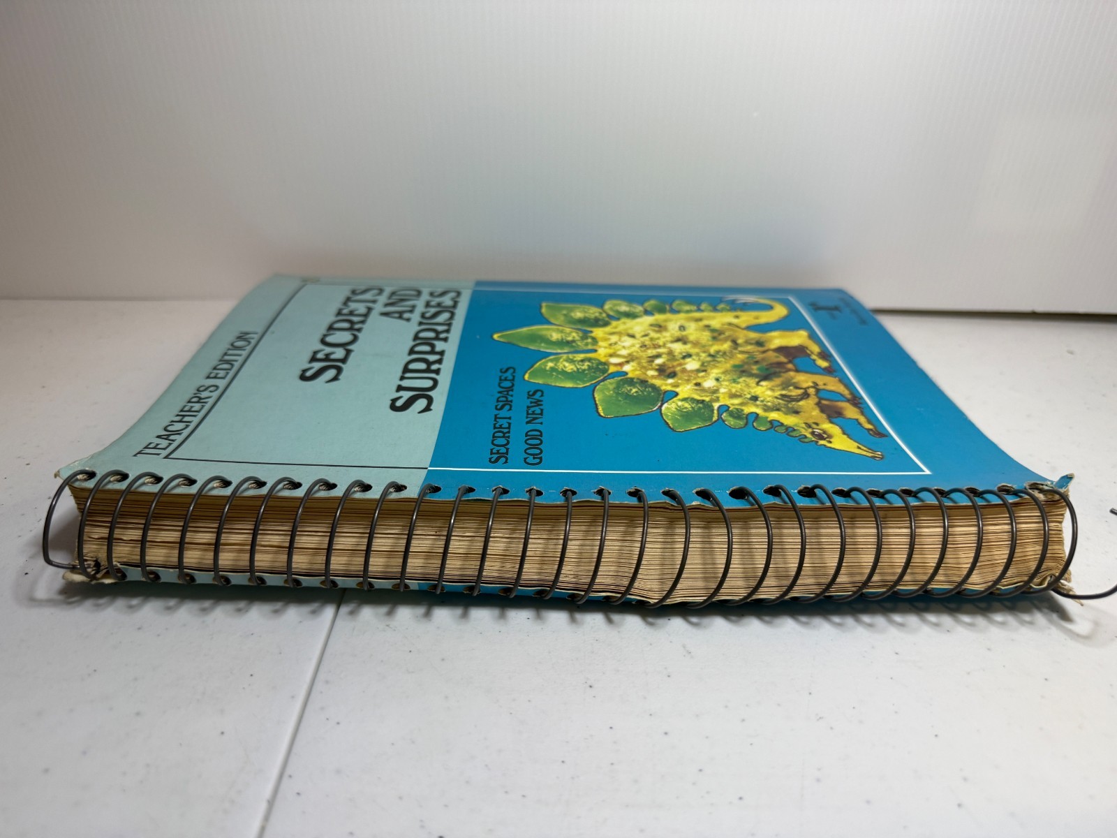Secrets and Surprises Teachers Edition Series R 1980 Spiral Book