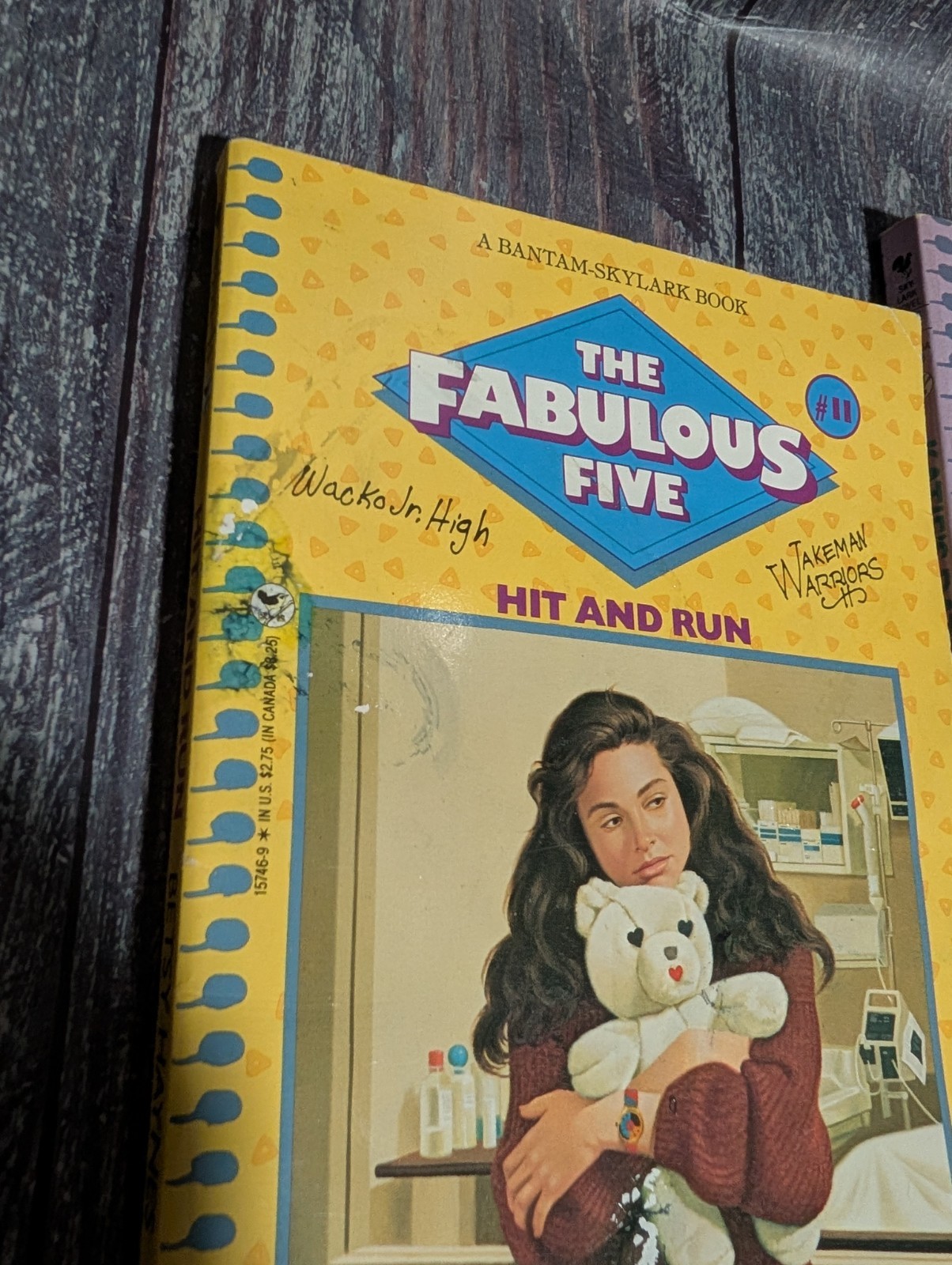 Fabulous Five by Betsy Haynes Book Lot of 16 – Vintage Paperbacks 80s 90s