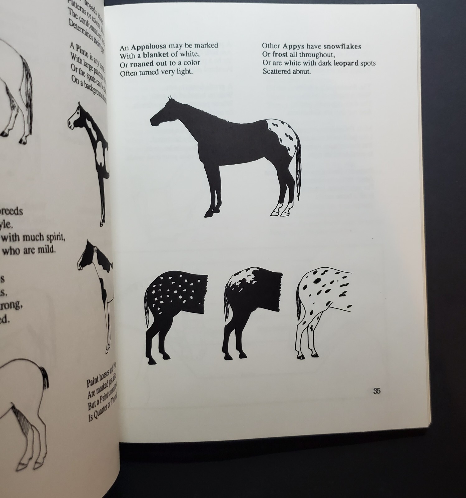 Horses : From Grooming to Galloping by Sabra Silva (1990, Trade Paperback)