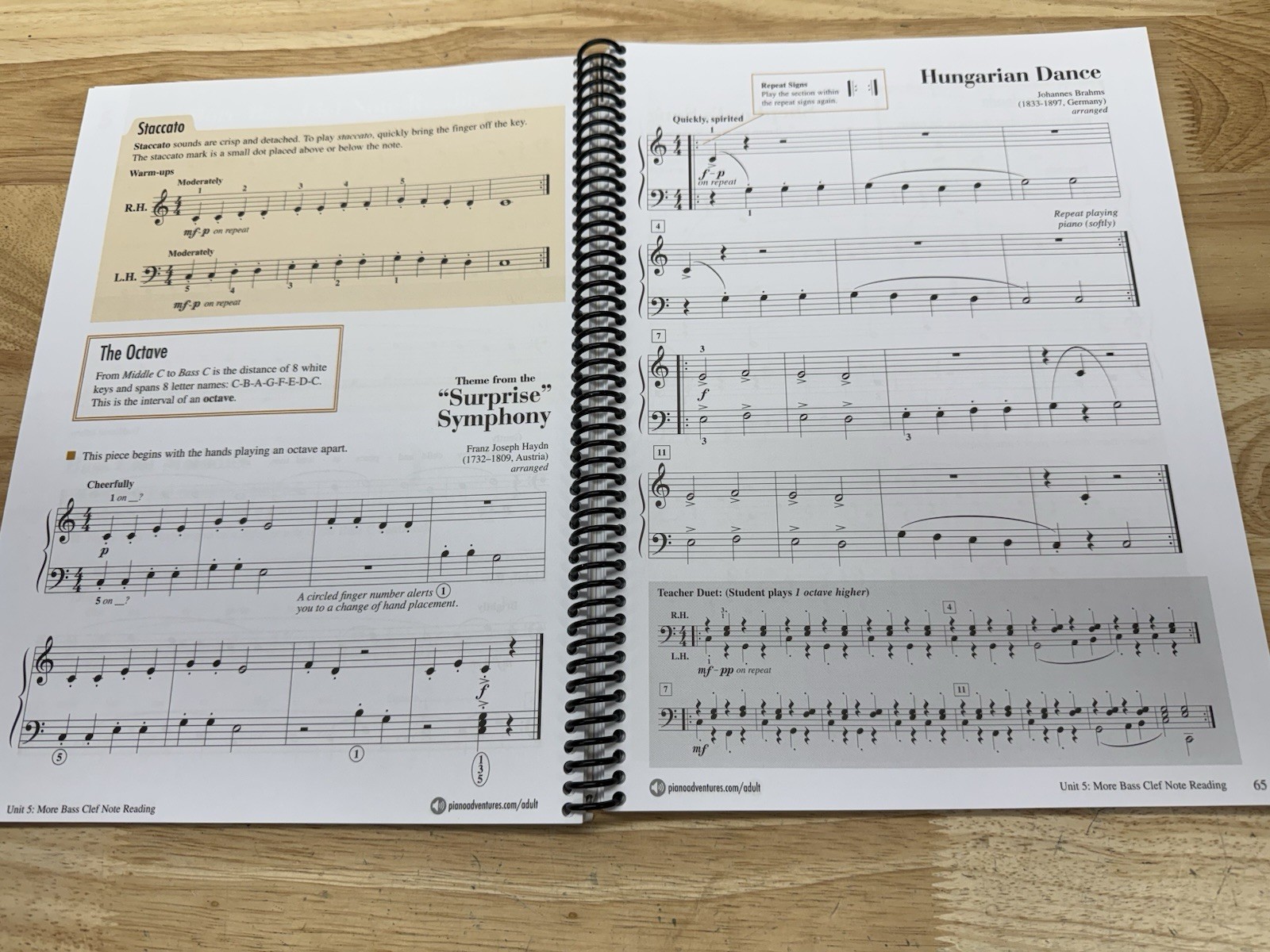 Adult Piano Adventures All-in-One Piano Course Book Vol 1: Book Good Condition