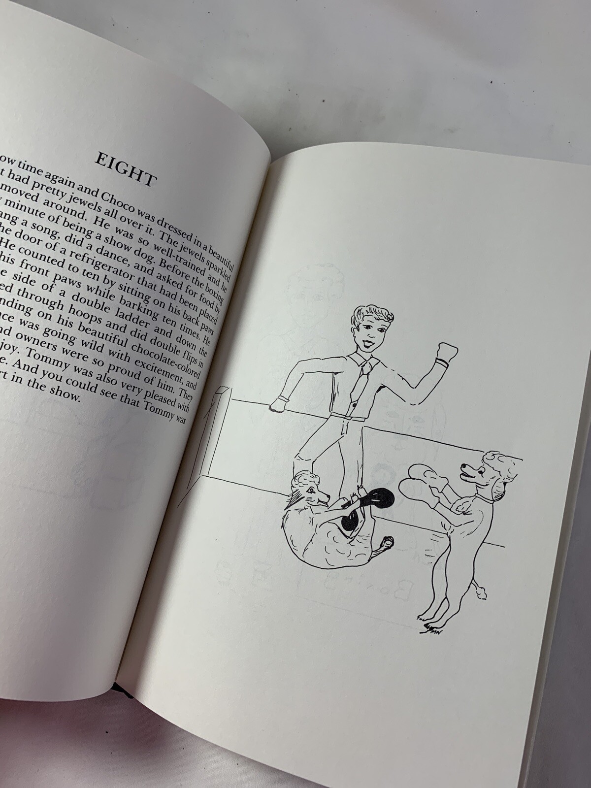 A Gift for the Whole Family ~ A Children’s Story and Poetry for All Ages