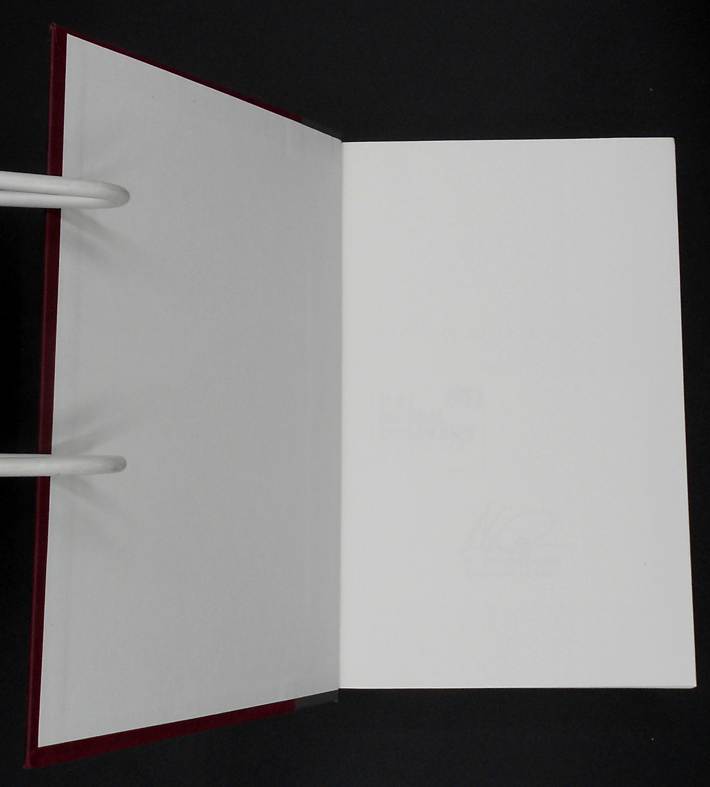 THE AGE OF TURBULENCE by ALAN GREENSPAN 2007, SIGNED HARD COVER/DJ VERY GOOD