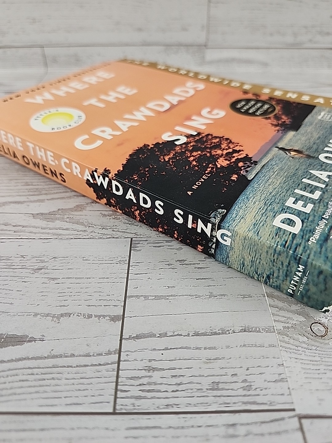 Where the Crawdads Sing: Reese’s Book Club paperback By Delia Owens Very Good