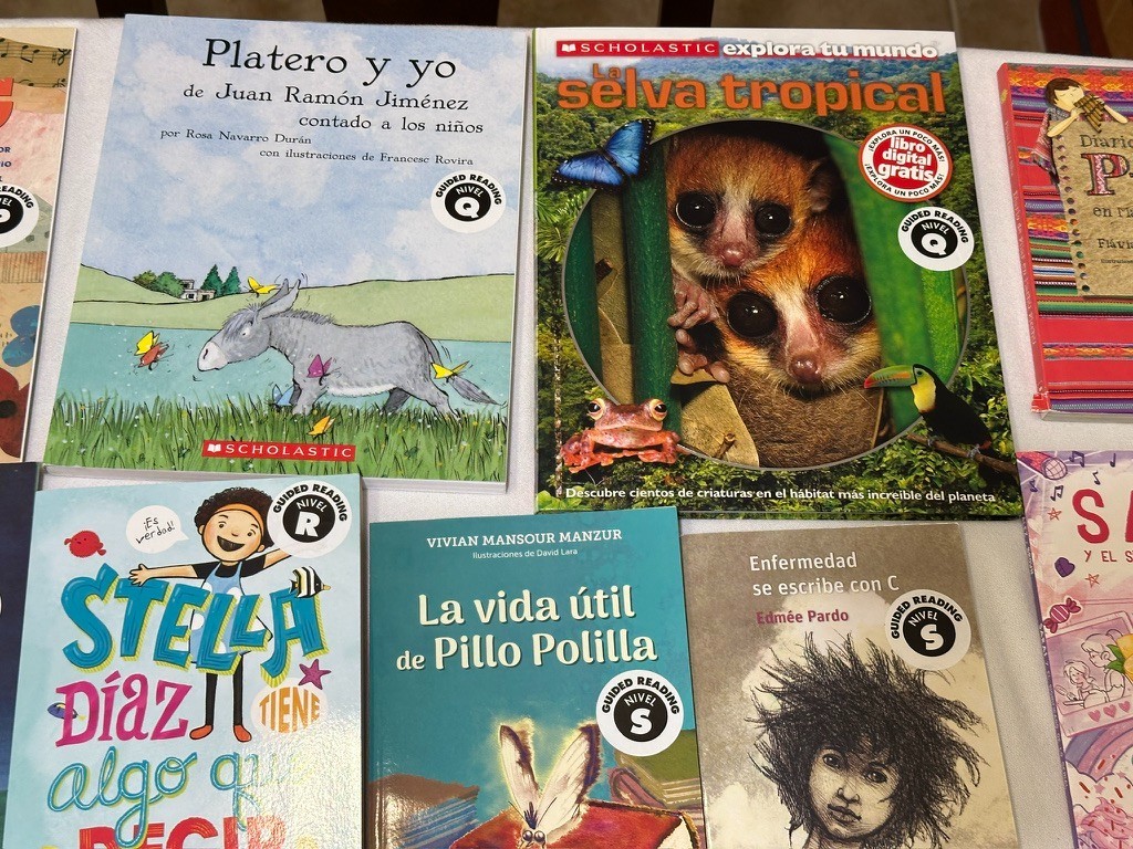 Scholastic 40 SPANISH Grade 4-6 Guided Reading Readers Books Level P, Q, R, S