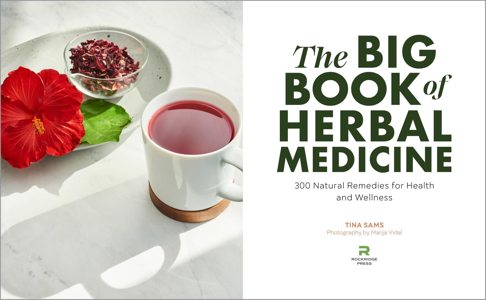 Herbal Medicine Big Book 300 Natural Remedies for Health and Wellness Guide NEW