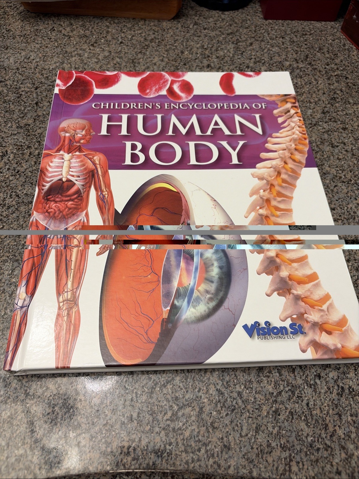 Children’s Encyclopedia Of Human Body