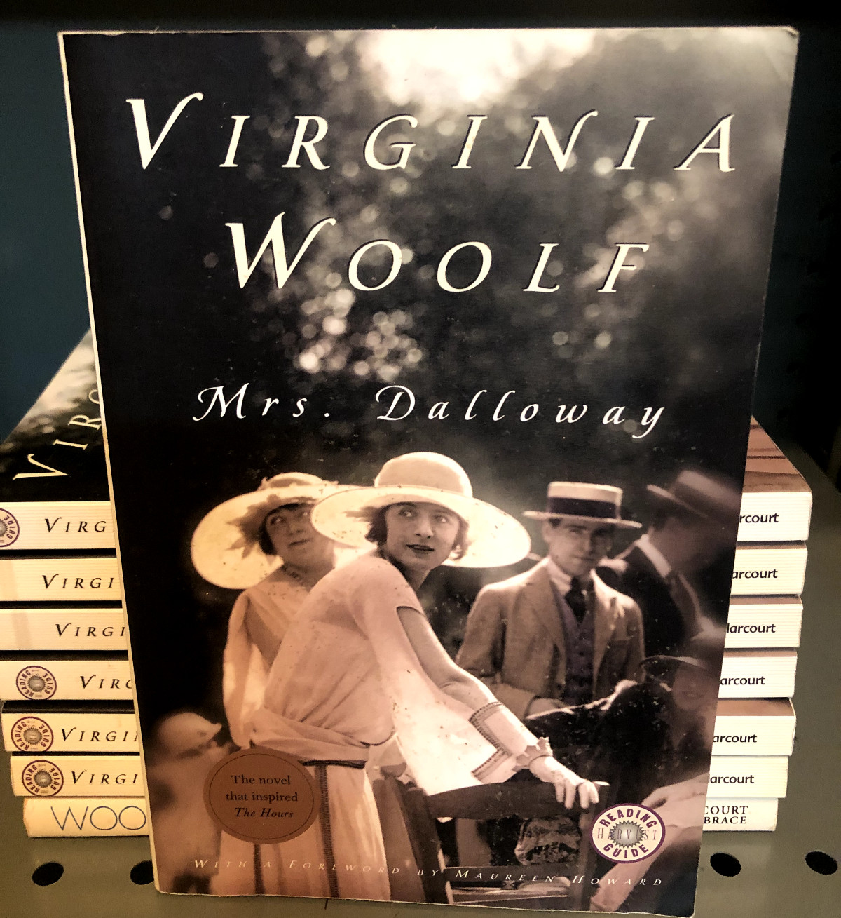 Lot of 8 Mrs Dalloway by Virginia Woolf Teacher Class Guided Reading Set