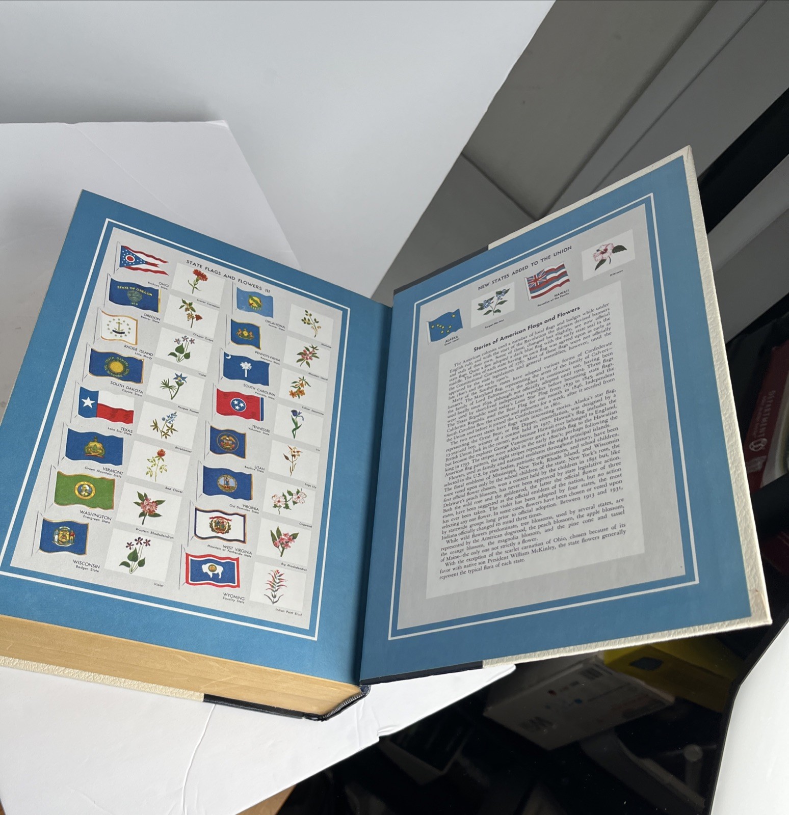 WEBSTER’S Encyclopedia of Dictionaries New American Edition 1981 Large Type VTG