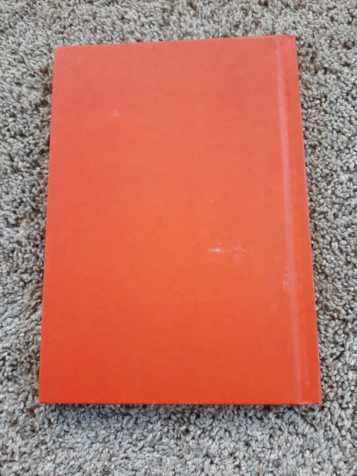 BINKY BROTHERS, DETECTIVES . JAMES LAWRENCE . HC 1968 .. AN I CAN READ MYSTERY