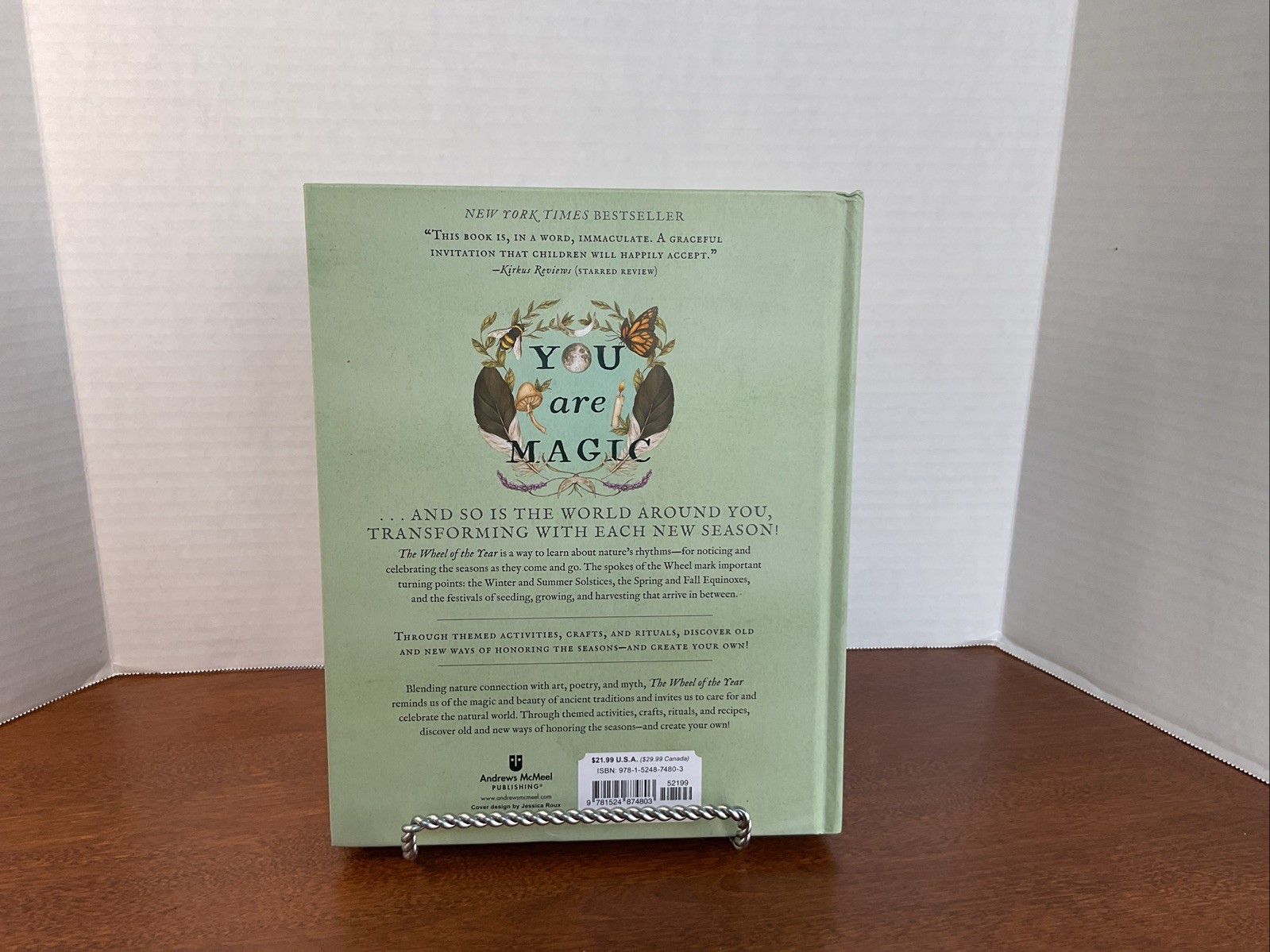 The Wheel of the Year: An Illustrated Guide to Nature’s Rhythms by Fiona Cook