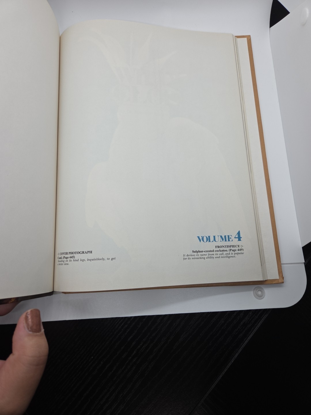 Vintage Funk and & Wagnalls Wildlife Encyclopedia Volume 4 Hardcover 1974