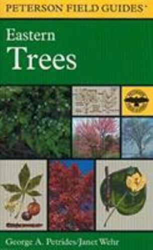 Field Guide to Eastern Trees : Eastern United States and Canada, Including th…