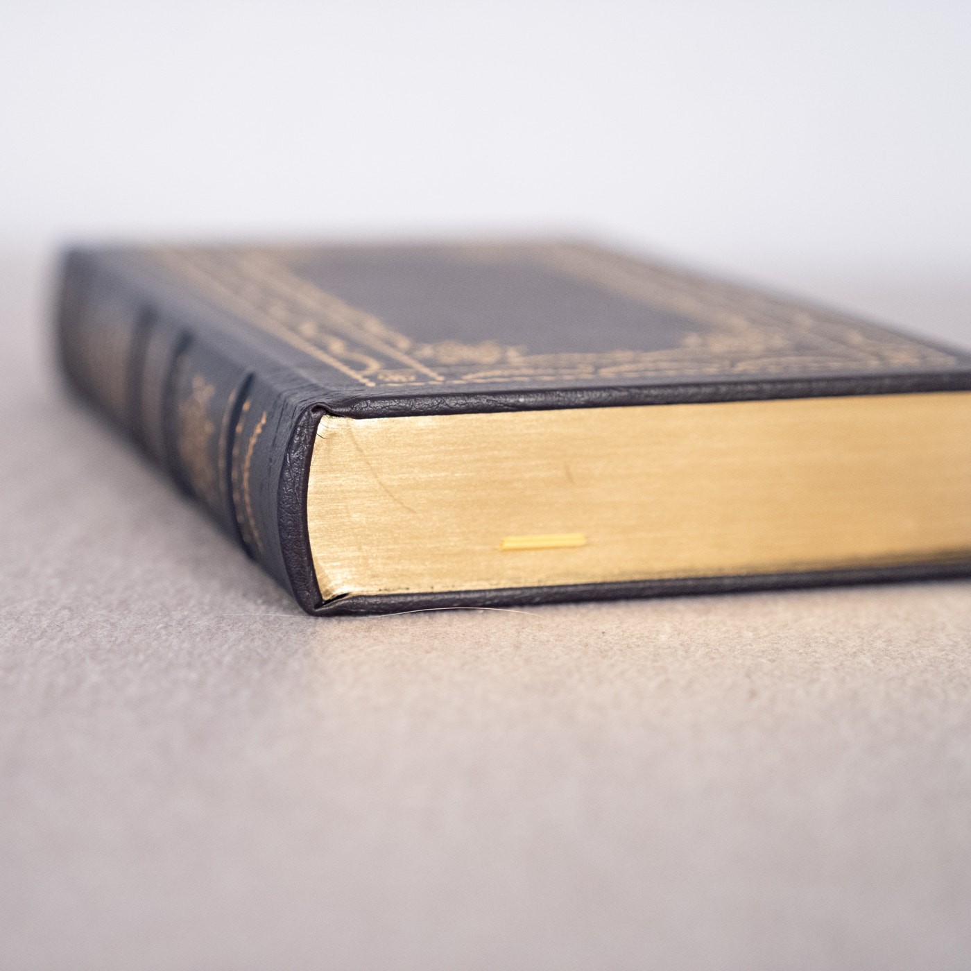 A System of Penal Law for the State of Louisiana Legal Classics Library Leather
