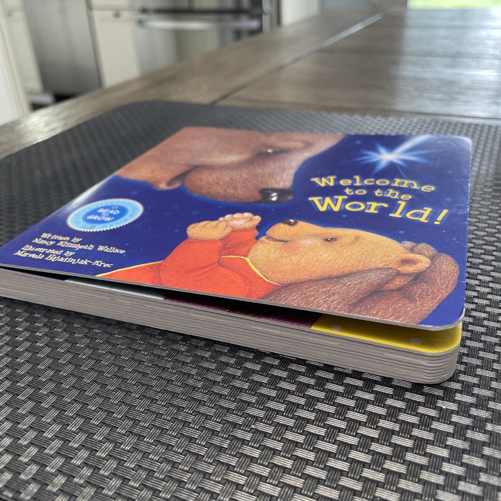 Welcome to the World – Board book By Nancy Elizabeth Wallace – Newborn and Up