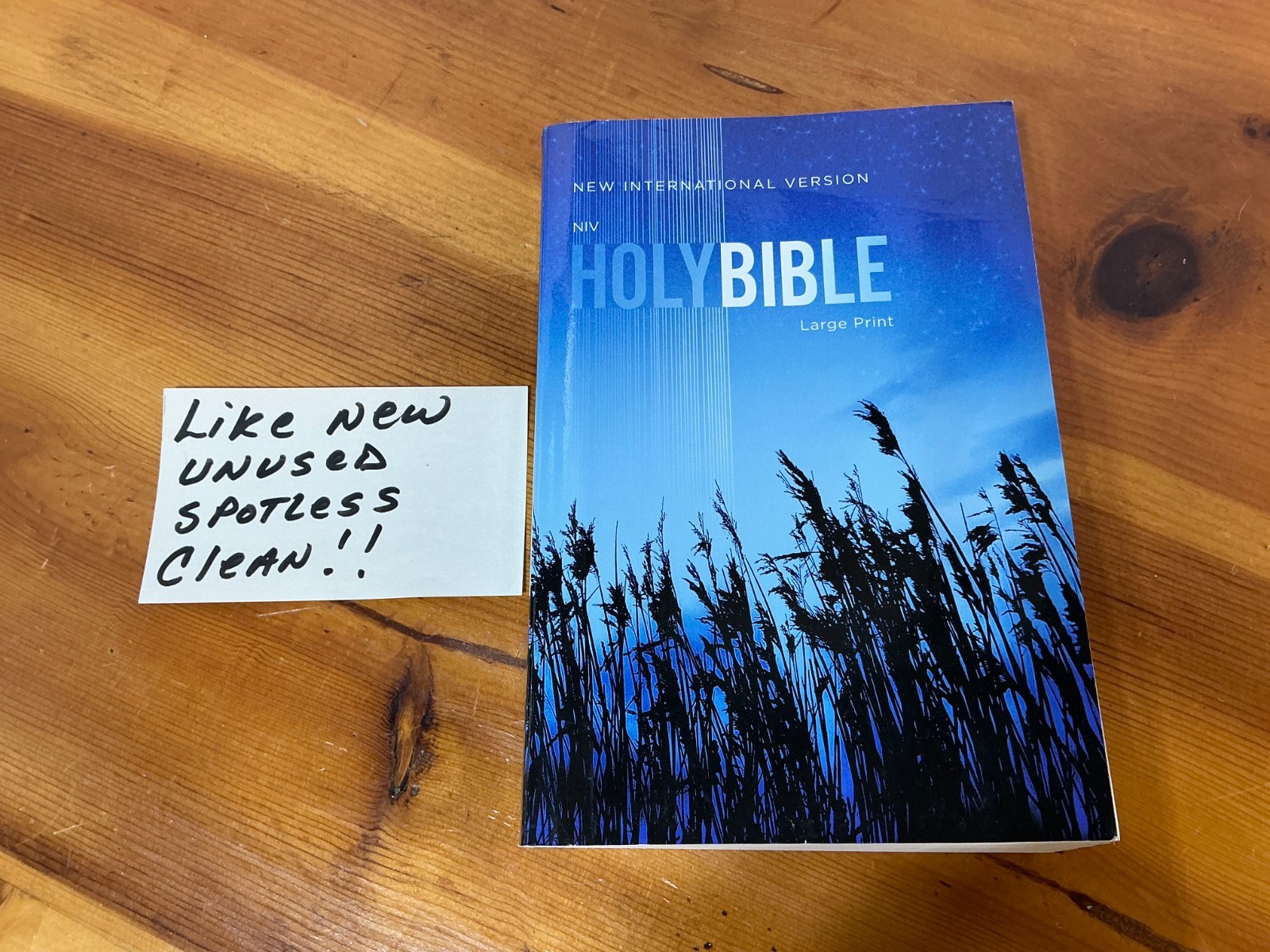 NIV Holy Bible Large Print by Zondervan Staff 2017, Paperback MINT UNUSED