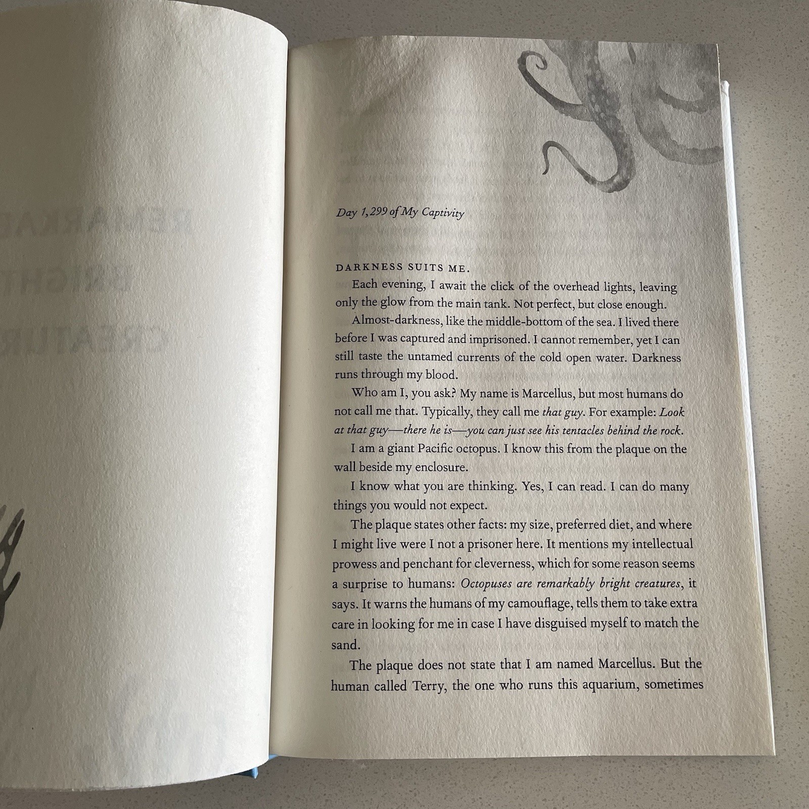 Remarkably Bright Creatures: A Novel By Shelby Van Pelt – Hardcover
