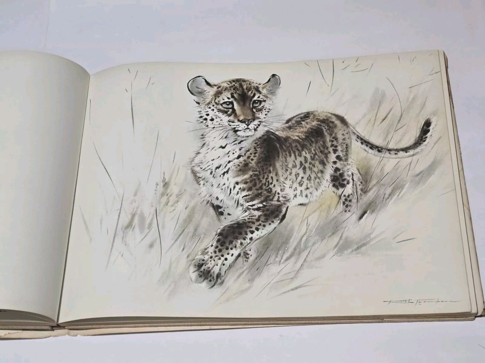 An Artist’s Safari By Ralph Thompson 1970 Hardcover DJ Artist Sketch Book