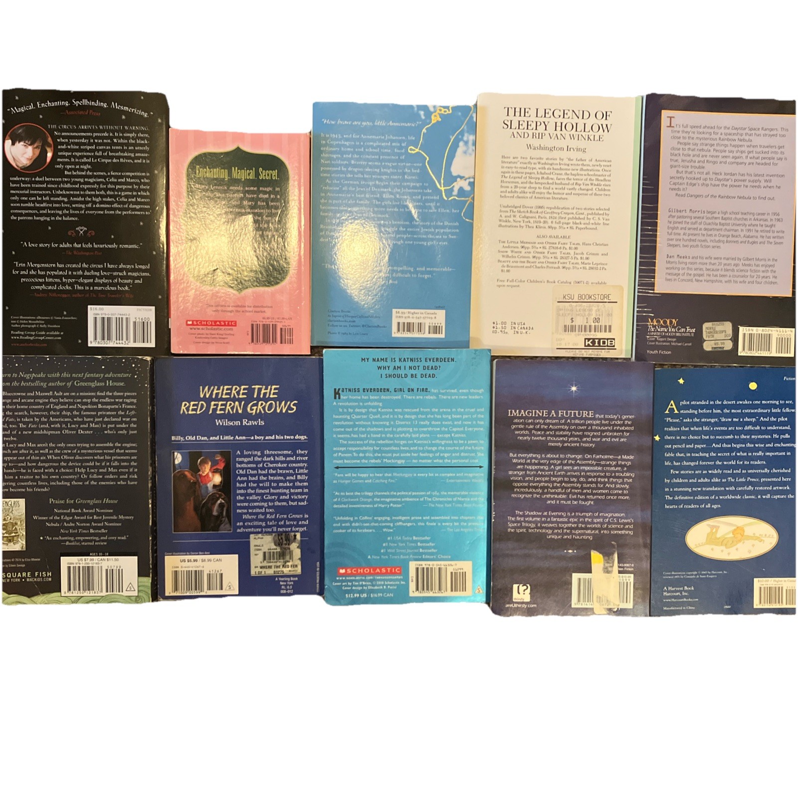 Young Adult Teen Fiction Paperback Book Lot of 10 Mixed As Shown See Photos