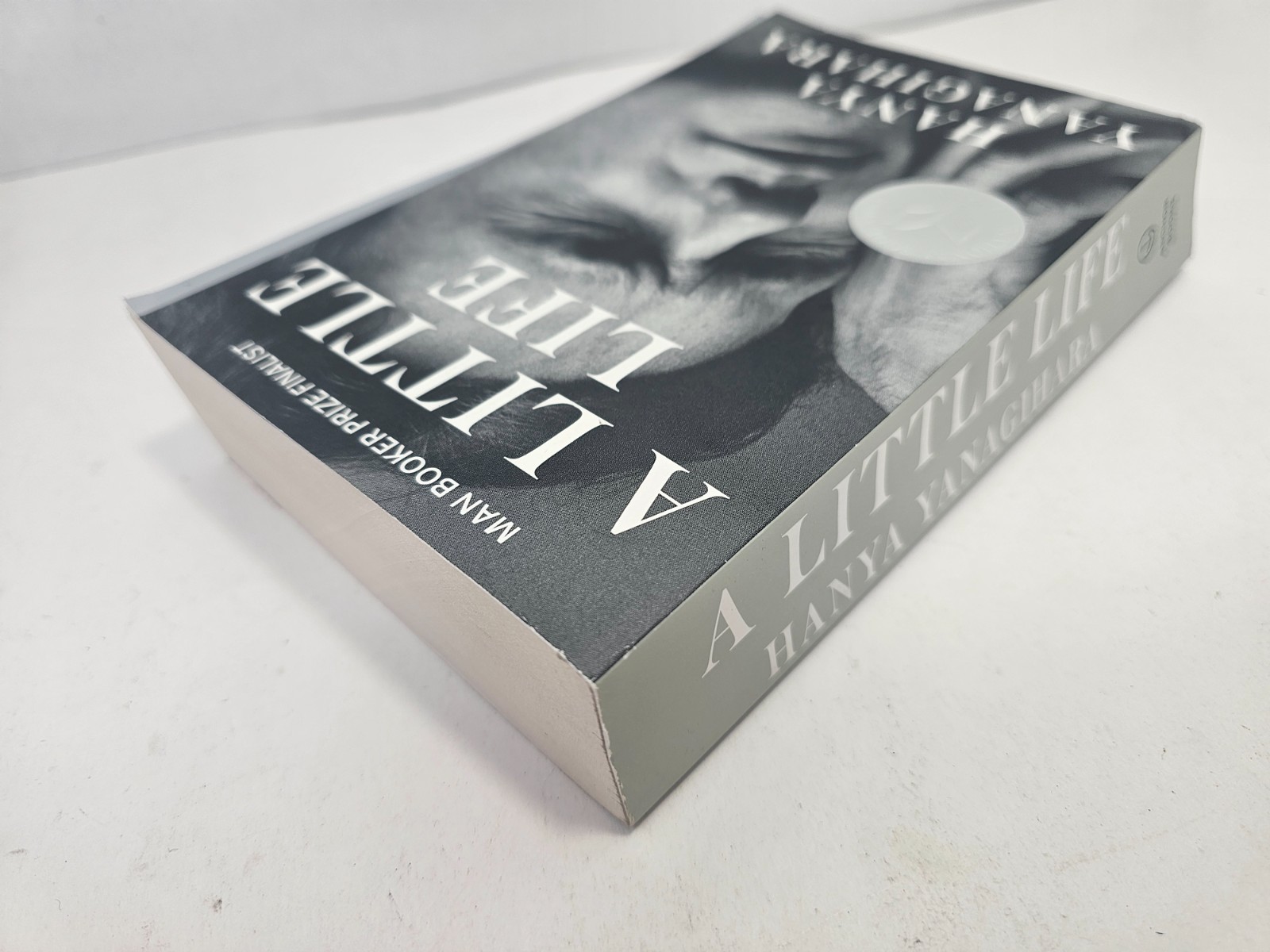 A Little Life Hanya Yanagihara Trade Paperback Novel 2016 Anchor Books Fiction