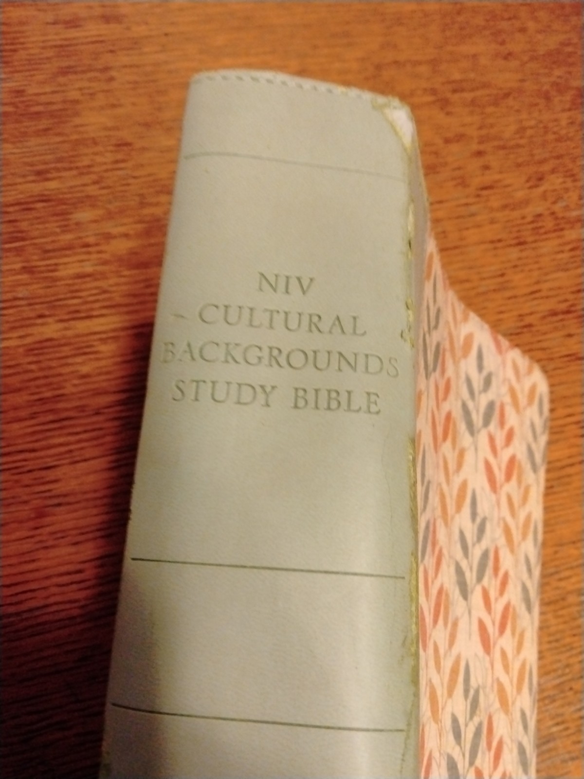 Zondervan NIV Cultural Backgrounds Study Bible Leathersoft Green