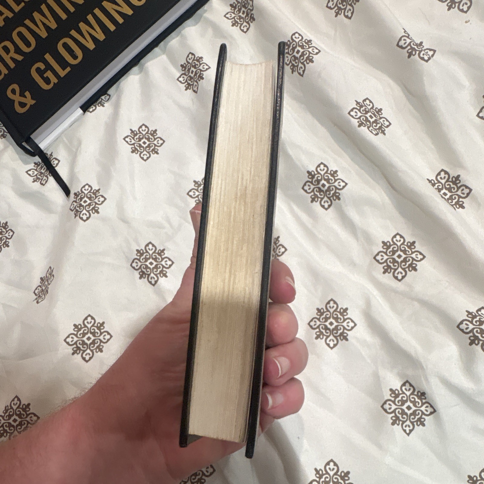 Hazelden Twenty-Four Hours a Day Hardcover A.A. Thought for the Day Meditations
