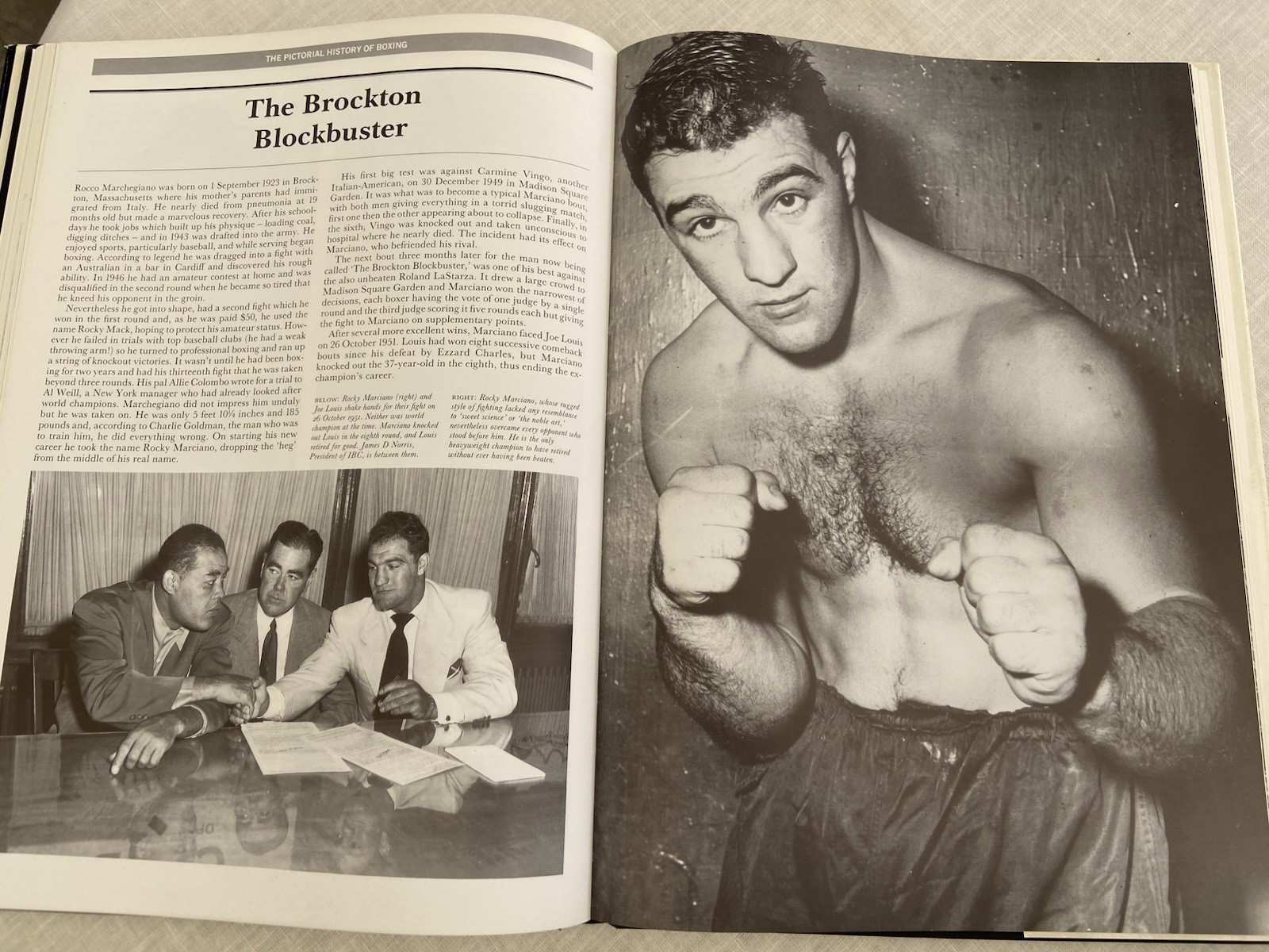 Vintage 1988, „Pictorial History of Boxing“ Peter Arnold XL Vg 1st Print FREE SH