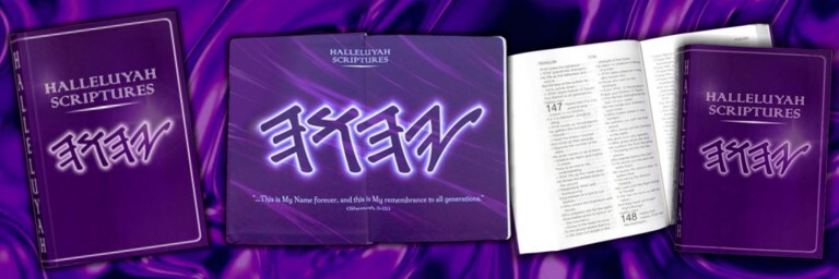 HALLELUYAH SCRIPTURES STANDARD BILE With Free Book & Free Shipping