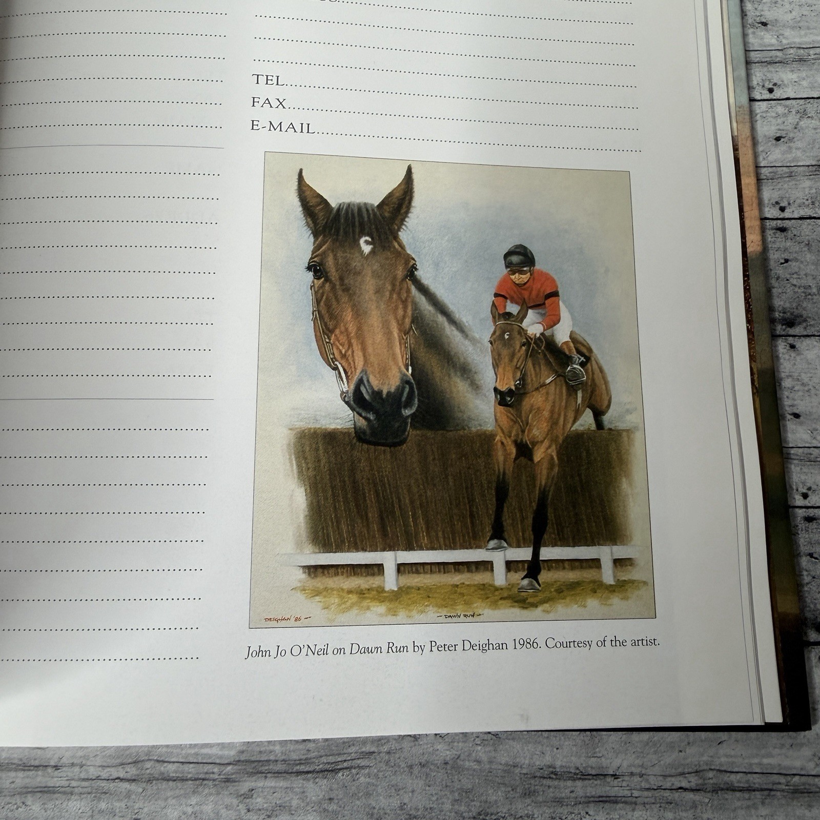 Horse Racing Address Book Equestrian Art Famous Thoroughbred Horses UK Hardback
