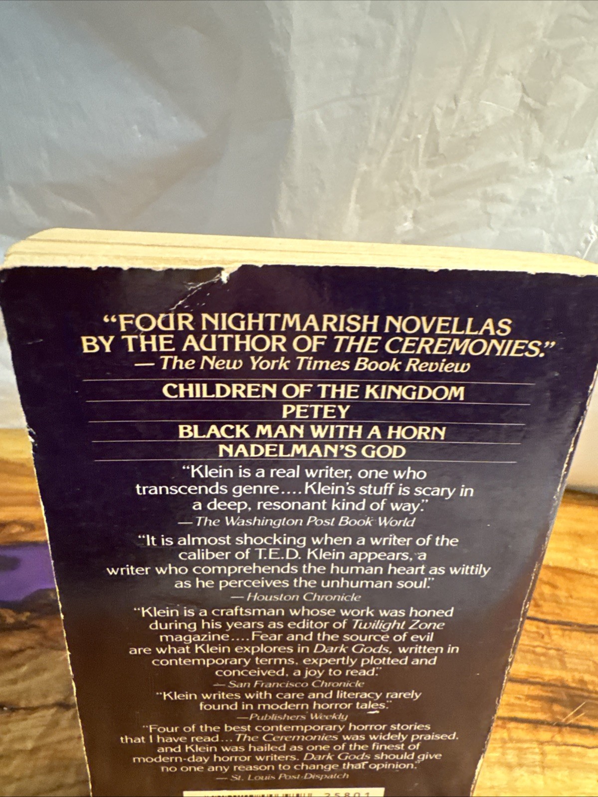 Dark Gods by T.E.D. Klein (1986 Bantam Edition) Vintage Horror Paperback Book