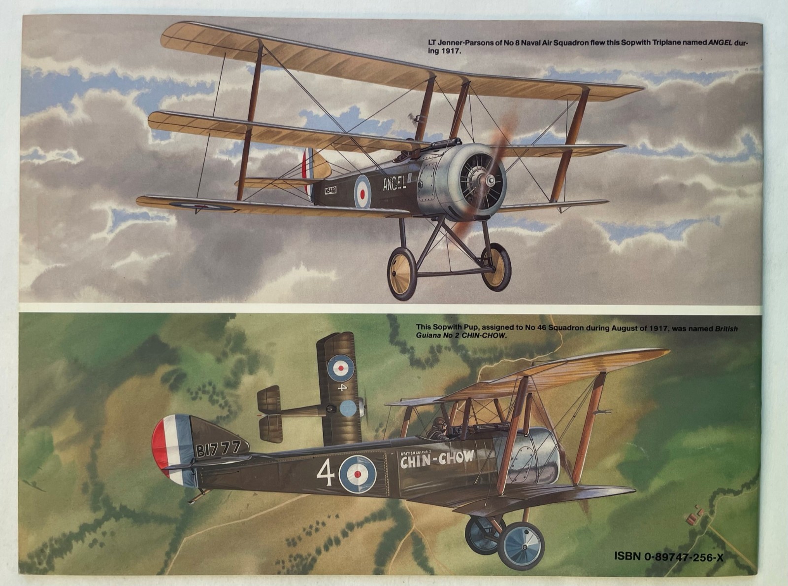 SOPWITH FIGHTERS IN ACTION Squadron Signal Aircraft Number 110 (OVF8)