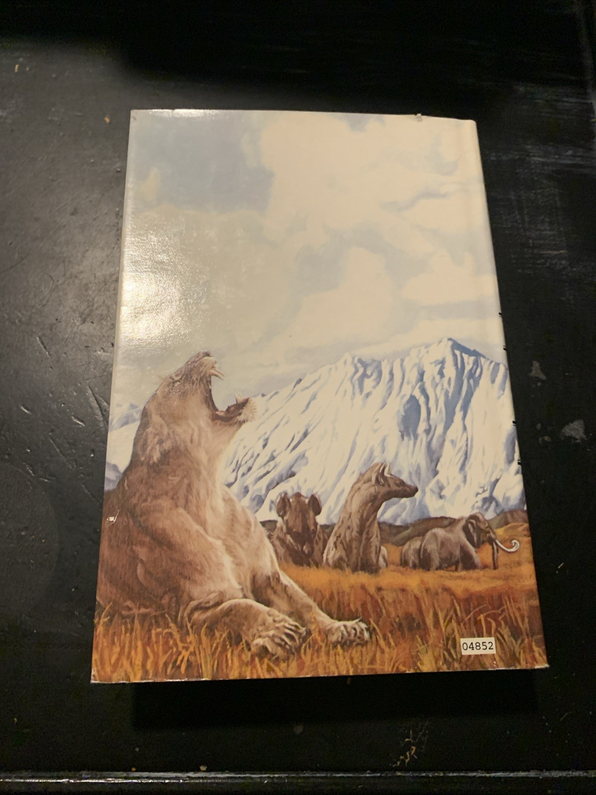 The Valley of Horses By Jean M. Auel 1982 Hardcover Book Club Edition