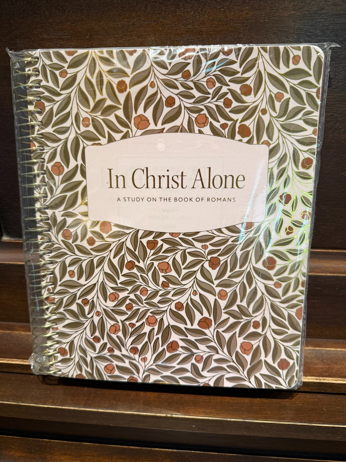 In Christ Alone: a Study on the Book of Romans – The Daily Grace Co.