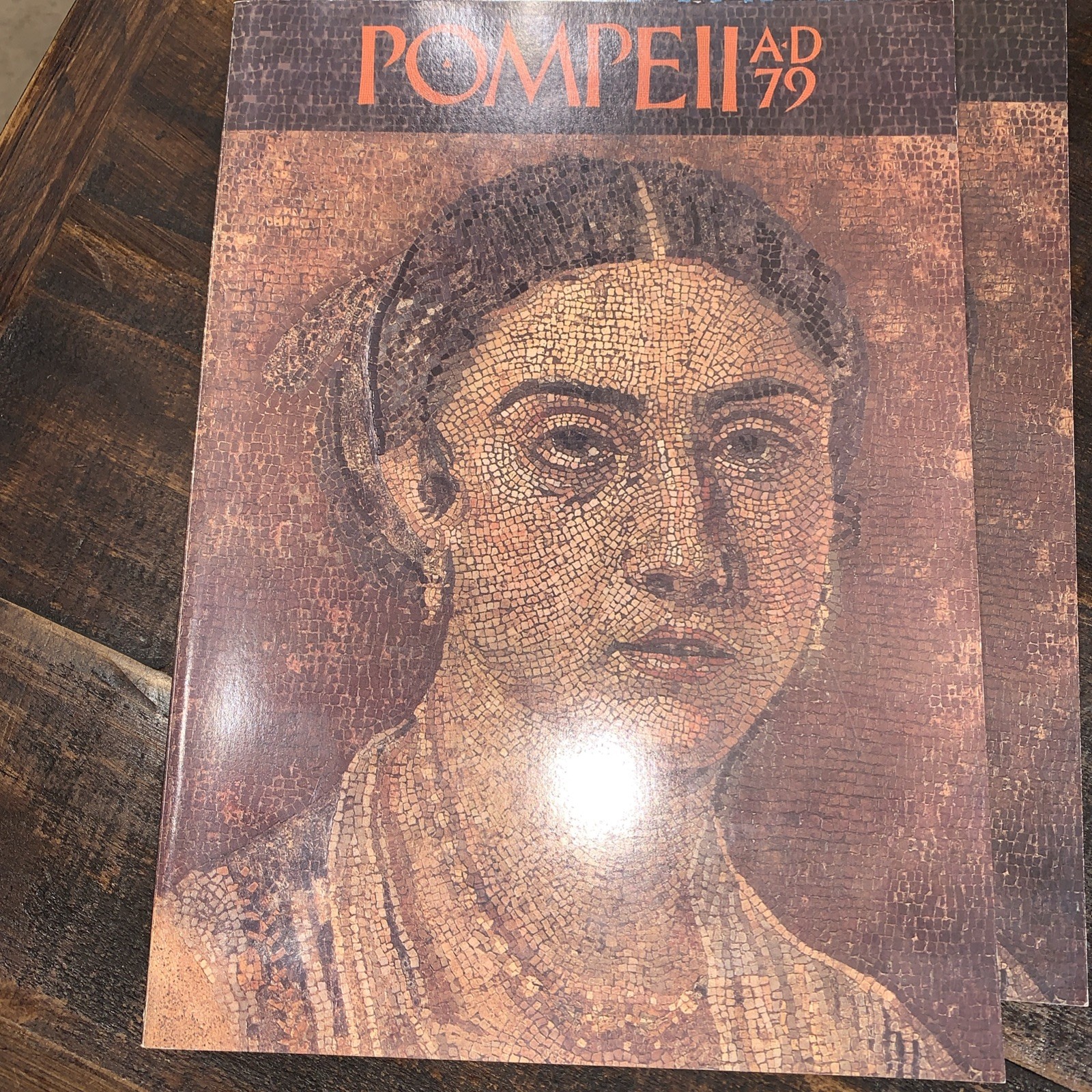 1978 Pompeii AD 79 Volume 1 & 2 Museum Fine Arts Boston Archaeology Volcano Set
