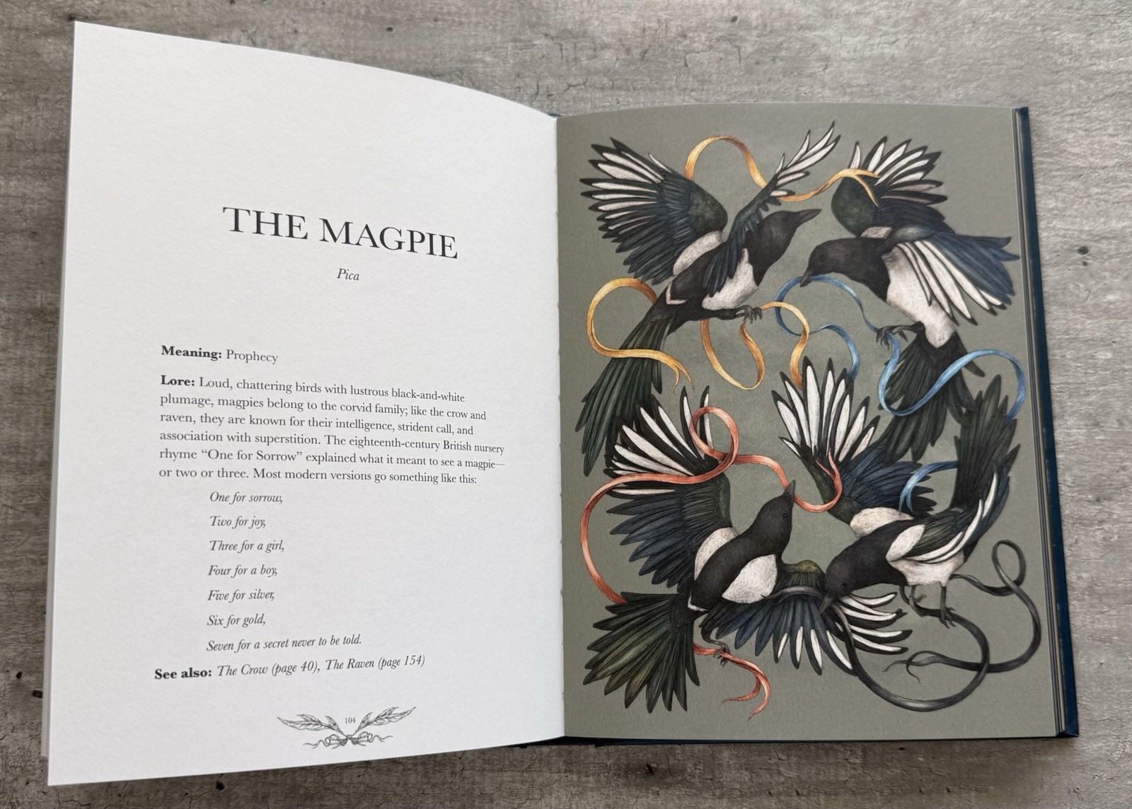 Jessica Roux Ornithography Illustrated Guide to Bird Lore & Symbolism HC 2024