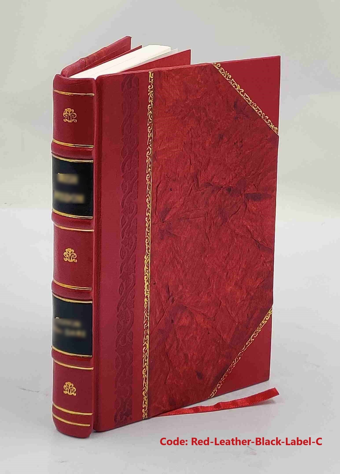 Die germanischen todesstrafen untersuchungen zur rechts- und rel [Leather Bound]