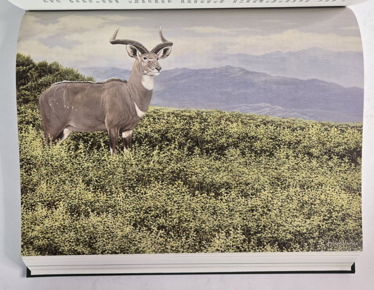 Hunting in Ethiopia by Tony Sanchez-Arino, Signed Limited Ed, Safari Press, 1995