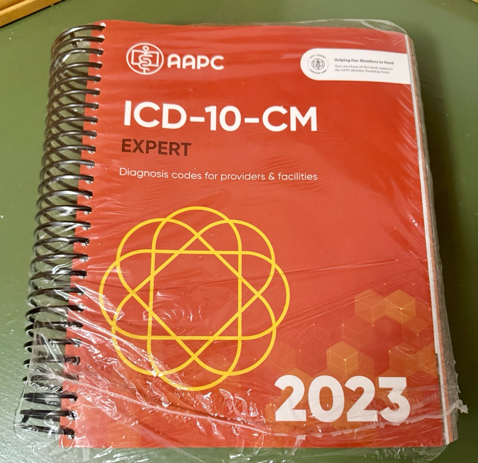 ICD-10-CM Expert 2023 for Providers Lot X3 Books Professional Edition 2023 2022