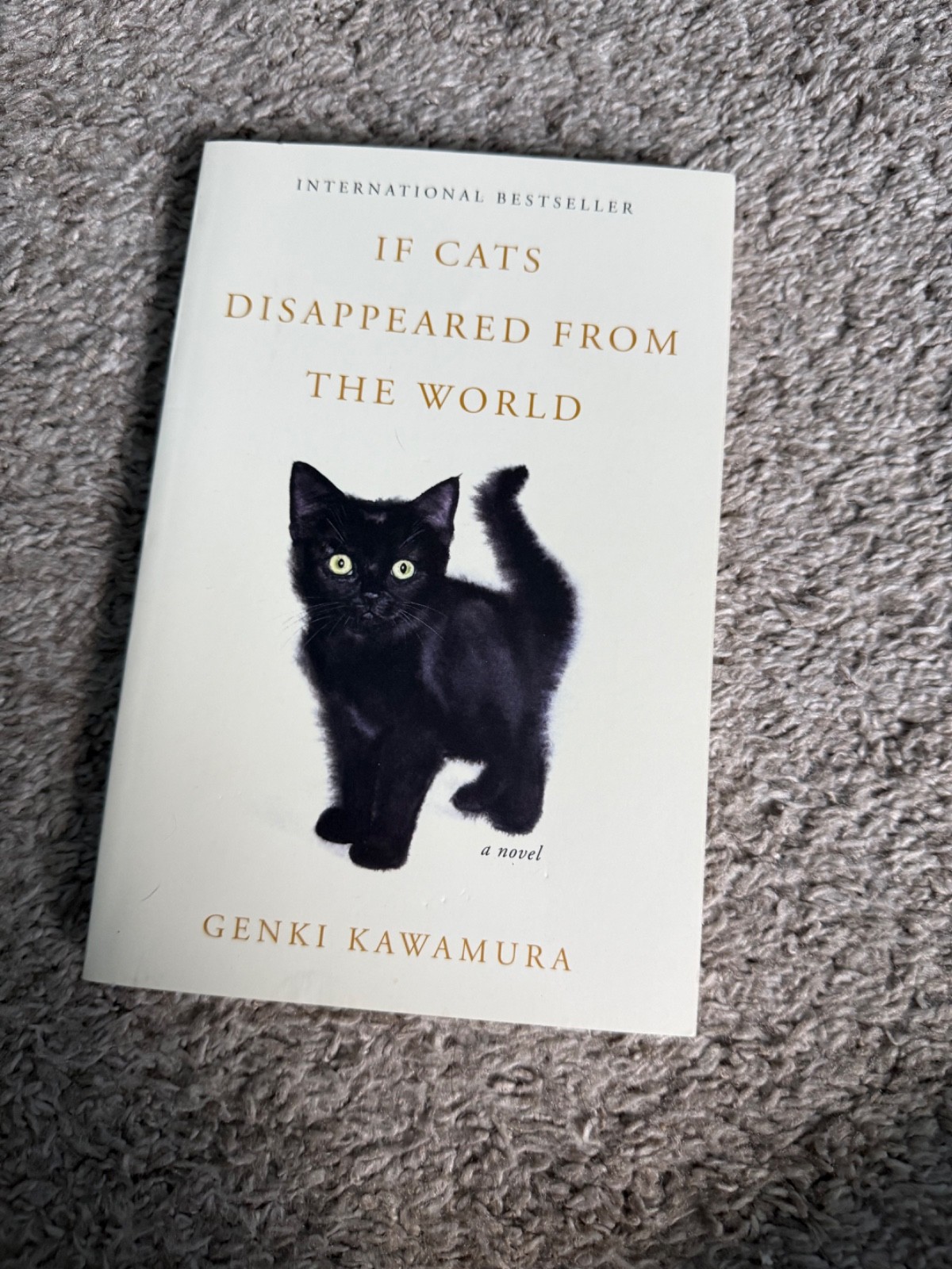 IF CATS DISAPPEARED FROM THE WORLD By Genki Kawamura