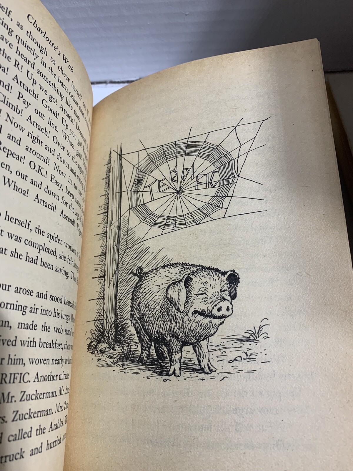 Vintage Traditional Children’s Books Charlotte’s Web, Wizard of Oz & Judy Blume