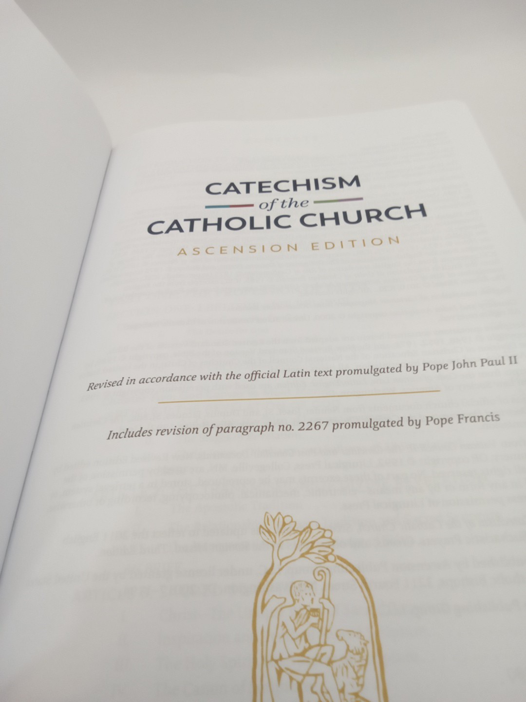 Catechism of the Catholic Church by Fr. Mike Schmitz ( 2022, Ascension Press)