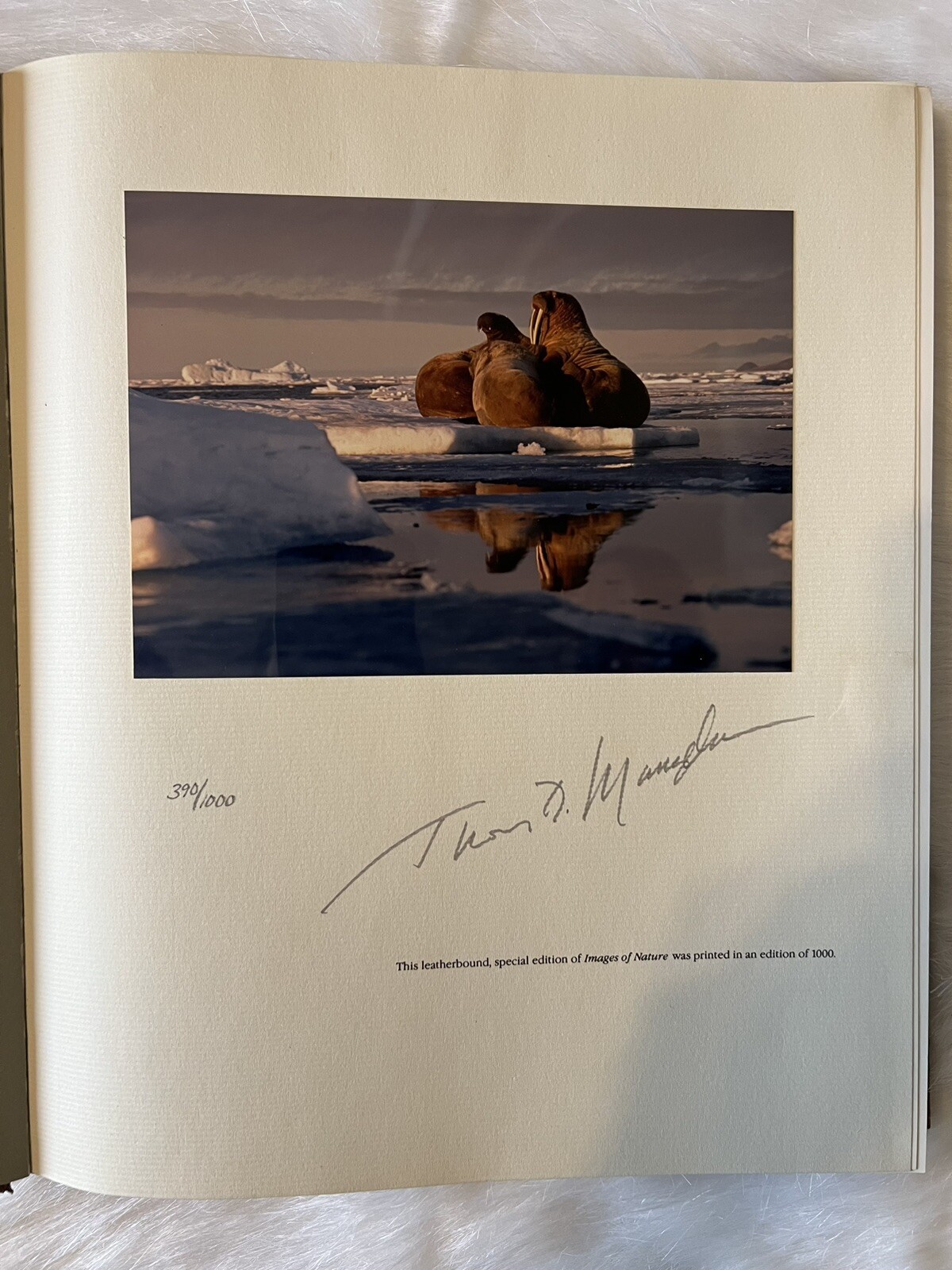 Rare -Special Edition 390/1000: Images of Nature – Signed by Thomas D. Mangelsen