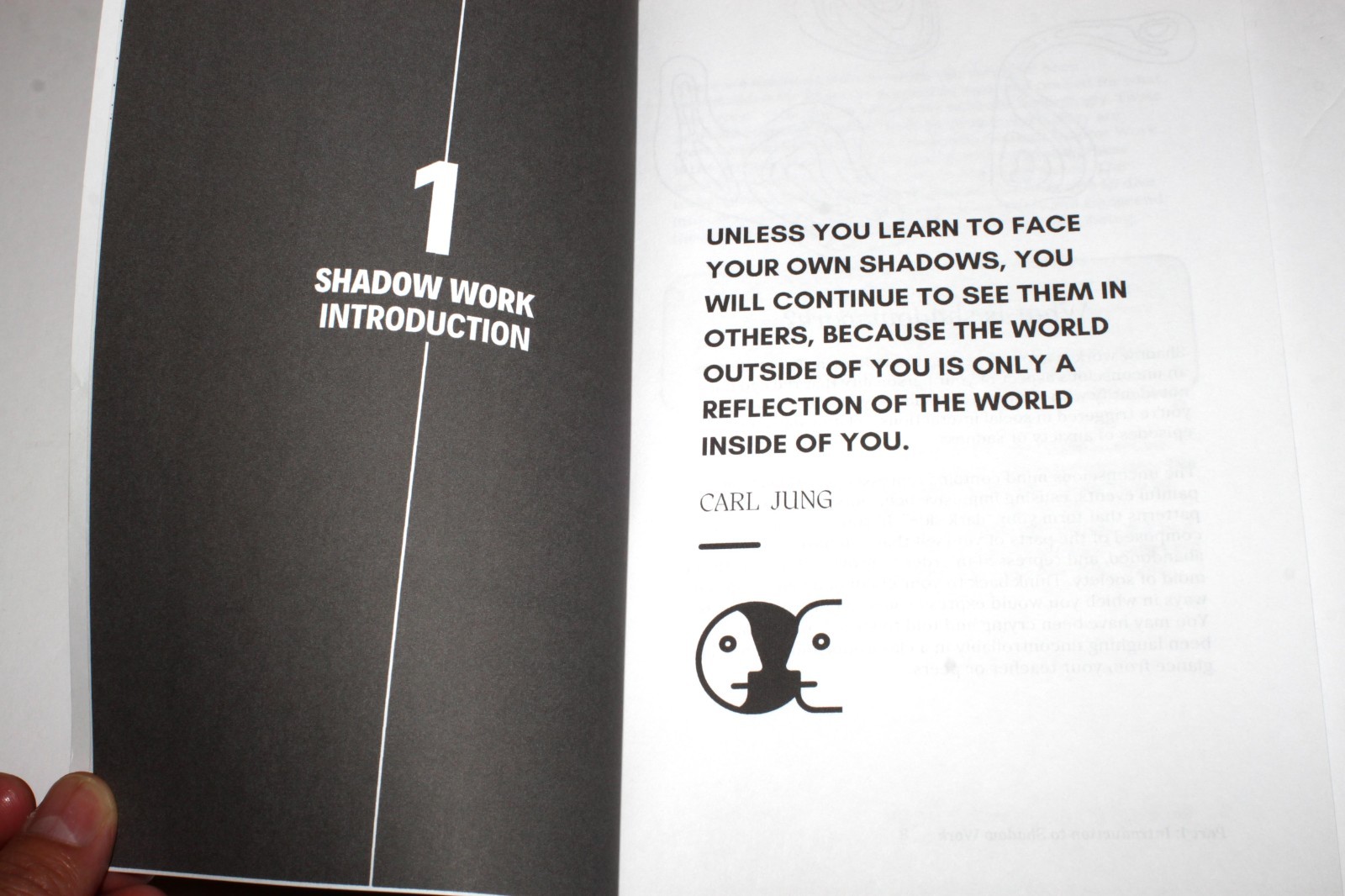 The Shadow Work Journal : a Guide to Integrate & Transcend Your Shadows (2023)