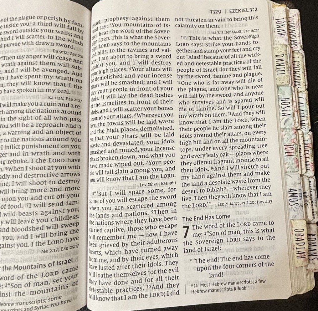 NIV Super Giant Print Reference Bible 2011 Brown Leathersoft 16.5pt Font – EUC