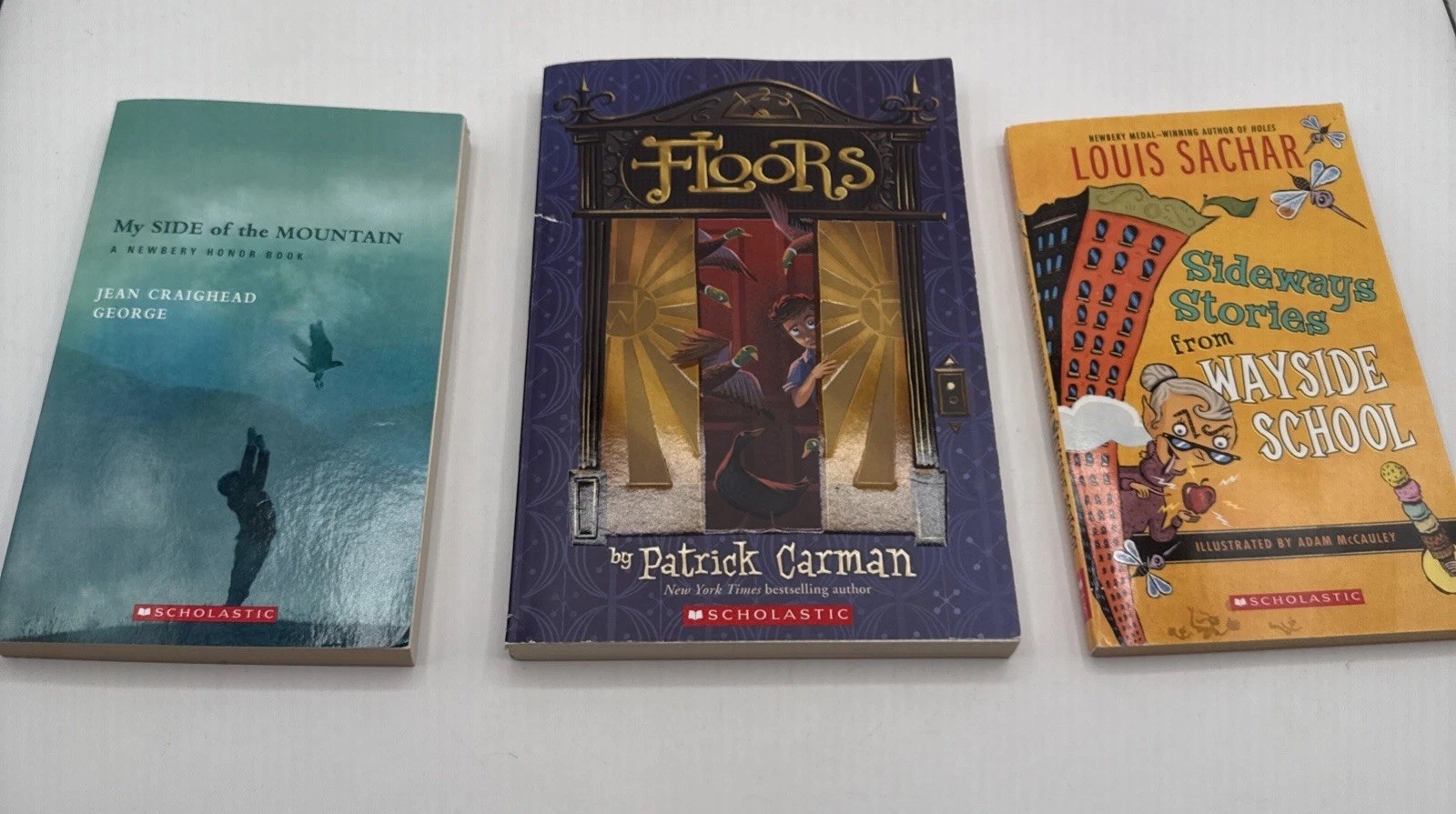 Lot Of 3 Scholastic Books: Floors, Wayside School, My Side Of The Mountain