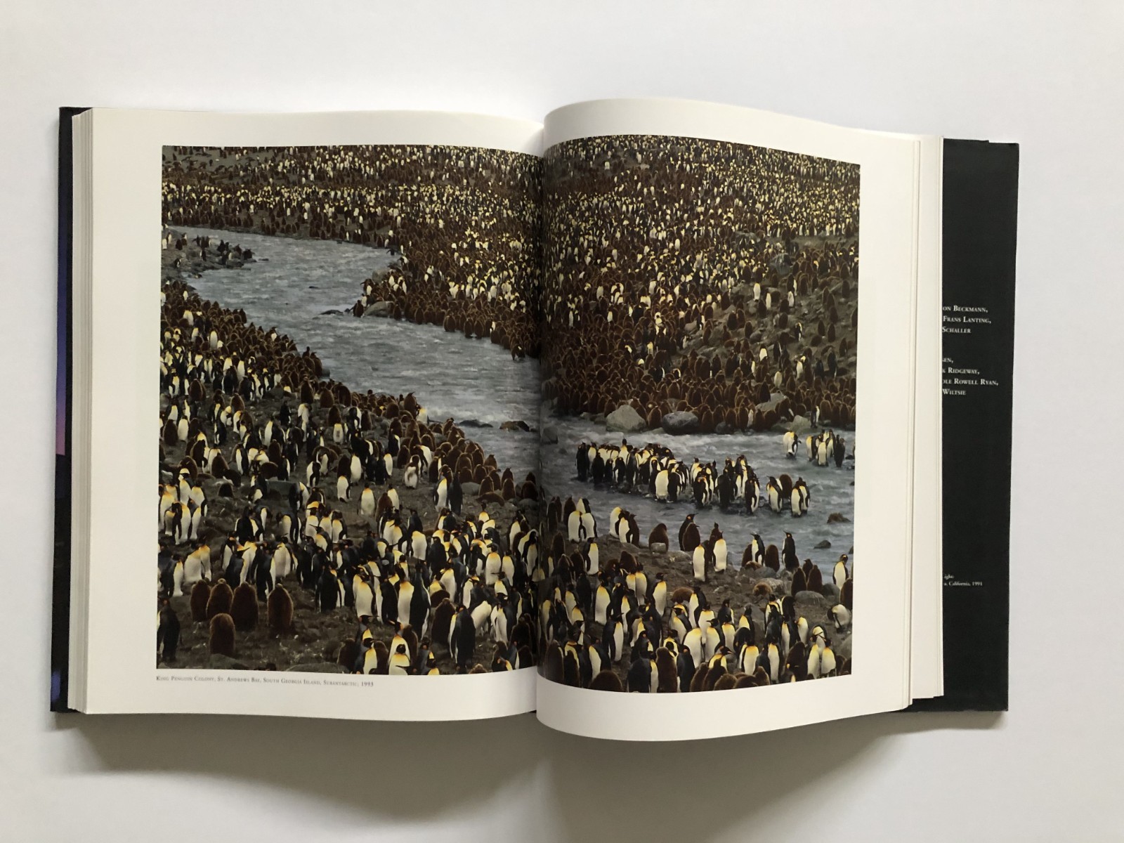 Galen Rowell – ‚A Retrospective‘ (2006) First Edition 13″h X 10.5″w 288 Pages